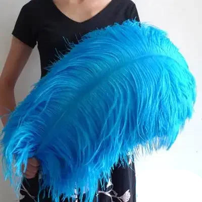 10PC 28-30IN Ostrich Feather Plumes