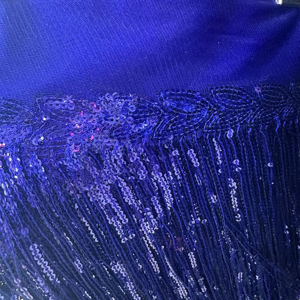 Premium Sequin Fringe Trim (20CM)