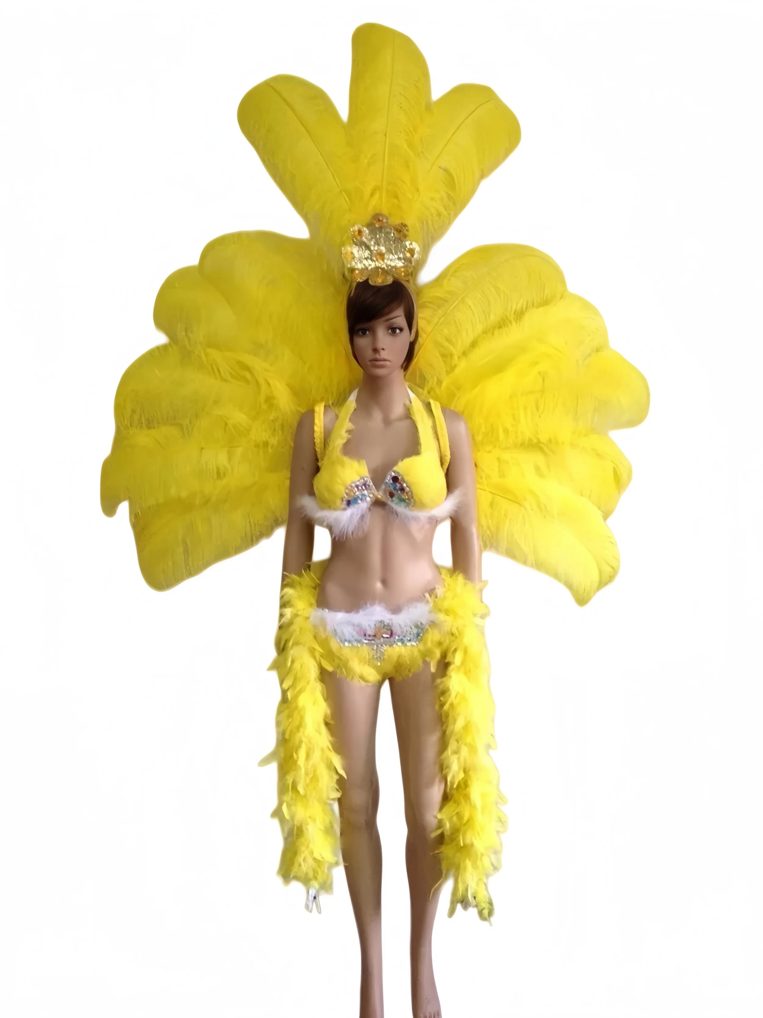 The Stardust Victoria Sovereign – Deluxe Angel Feather Wing & Headdress Stage Costume Set