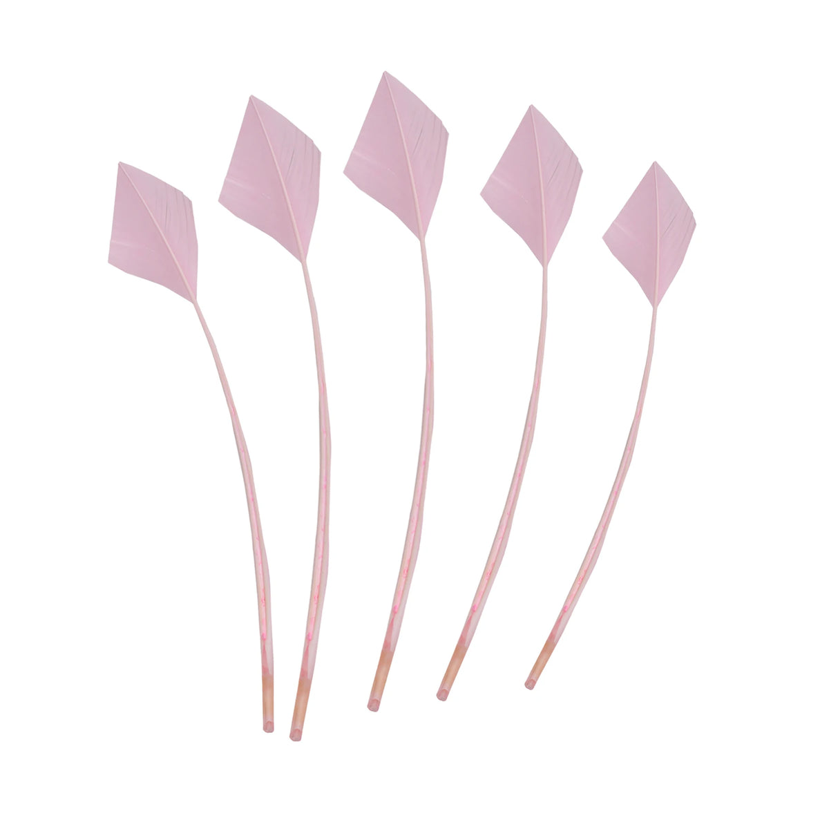Arrowhead Turkey Feather Quill Trim — 28–33 cm
