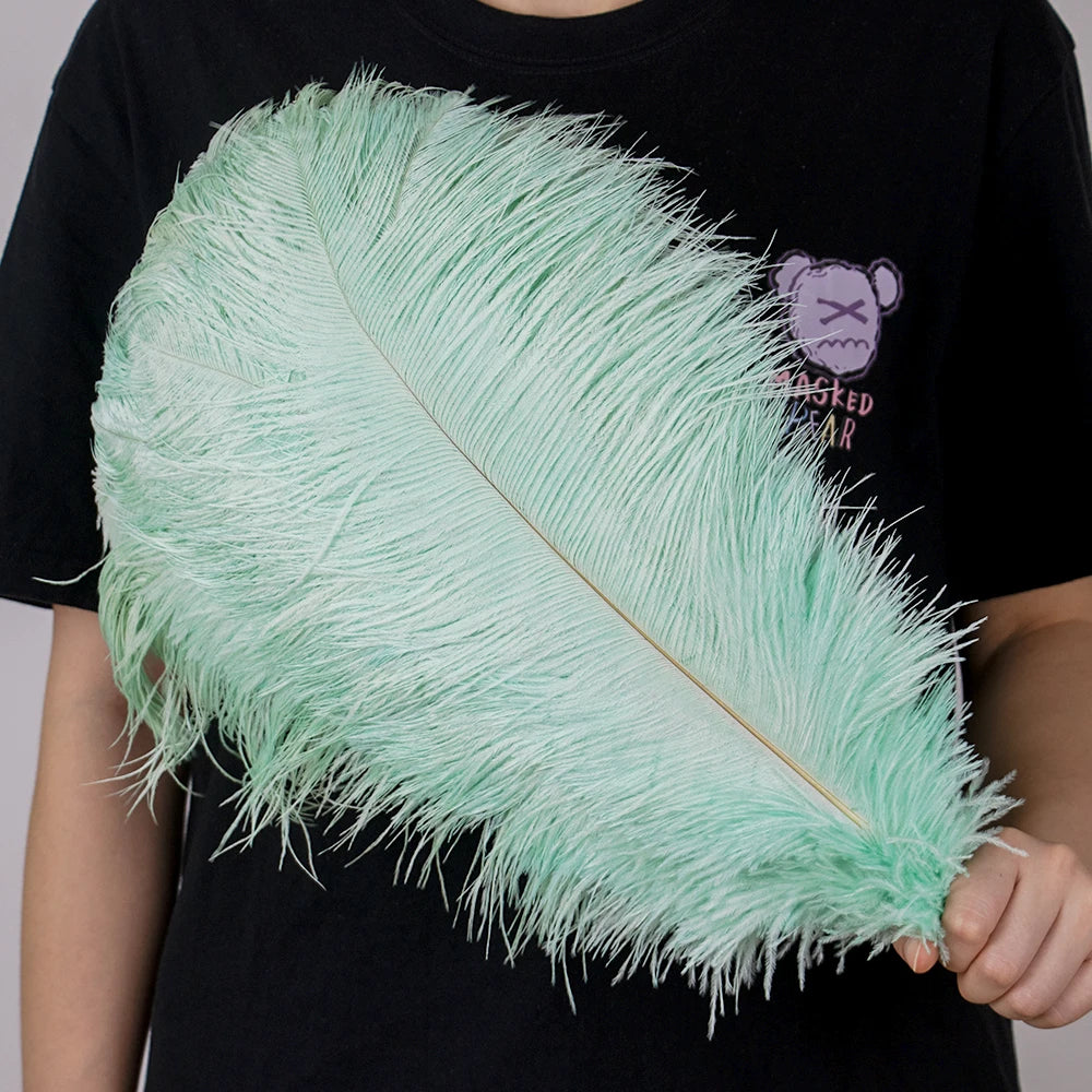 28-30IN Large Decorative Ostrich Feather Plumes