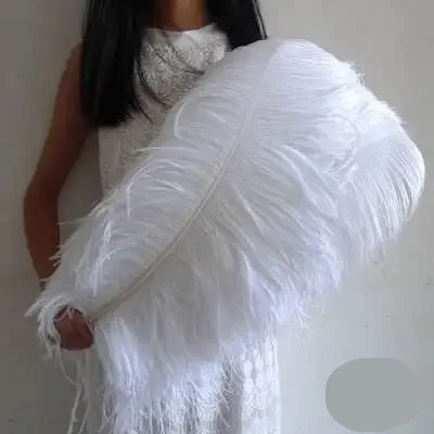 10PC 28-30IN Ostrich Feather Plumes