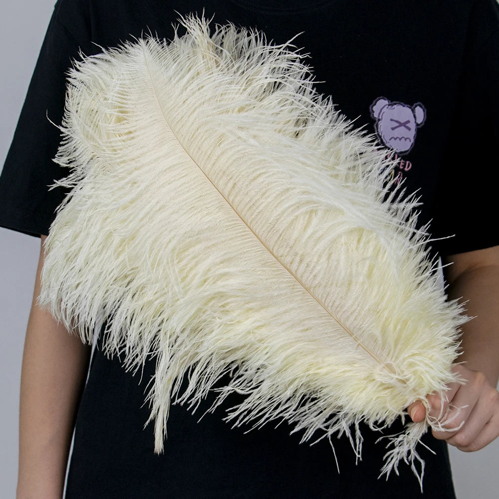 28-30IN Large Decorative Ostrich Feather Plumes