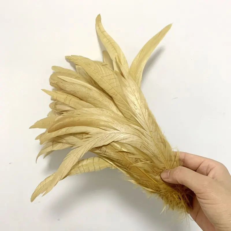Premium Two-Tone Rooster Tail Feather Plumes (100PCS)