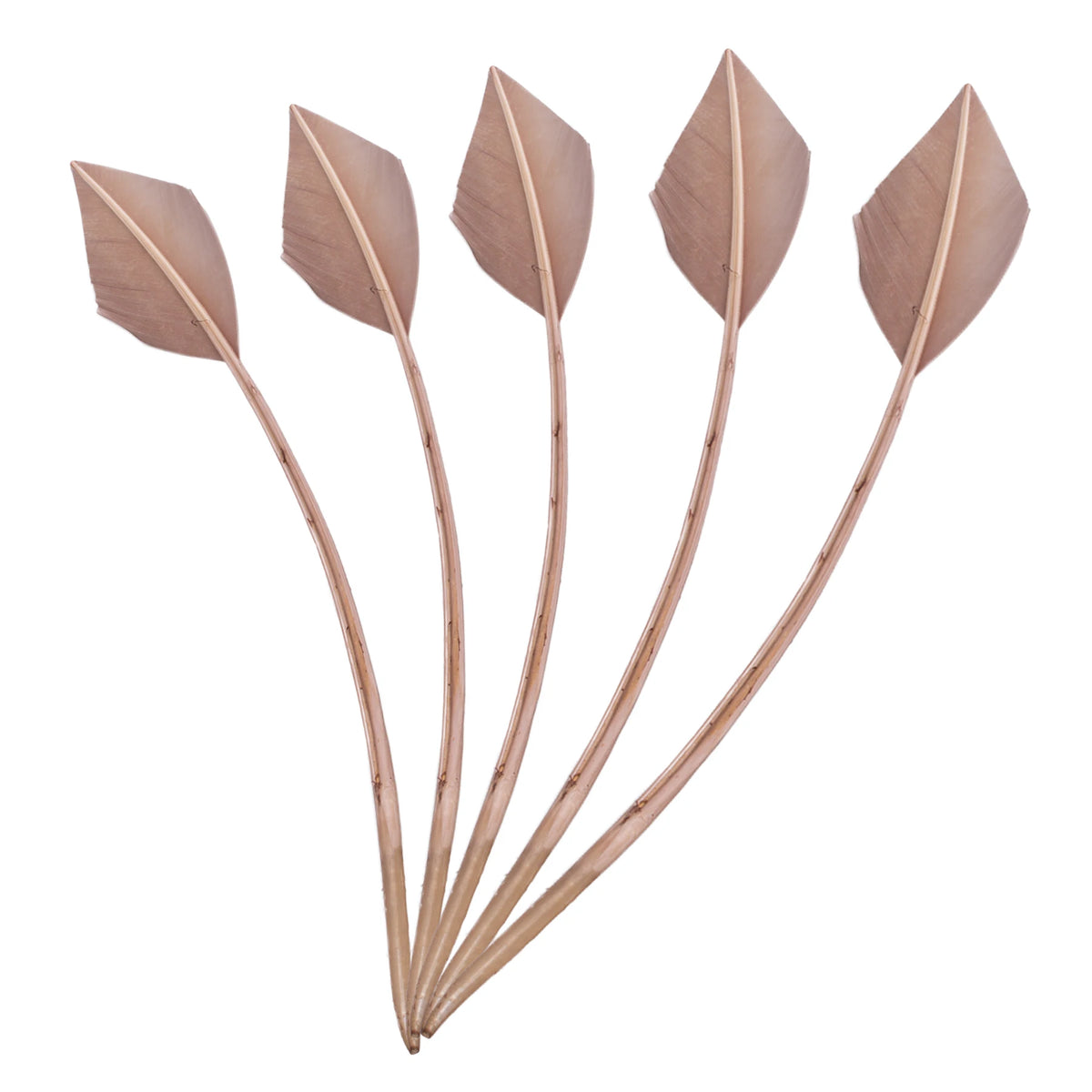 Arrowhead Turkey Feather Quill Trim — 28–33 cm