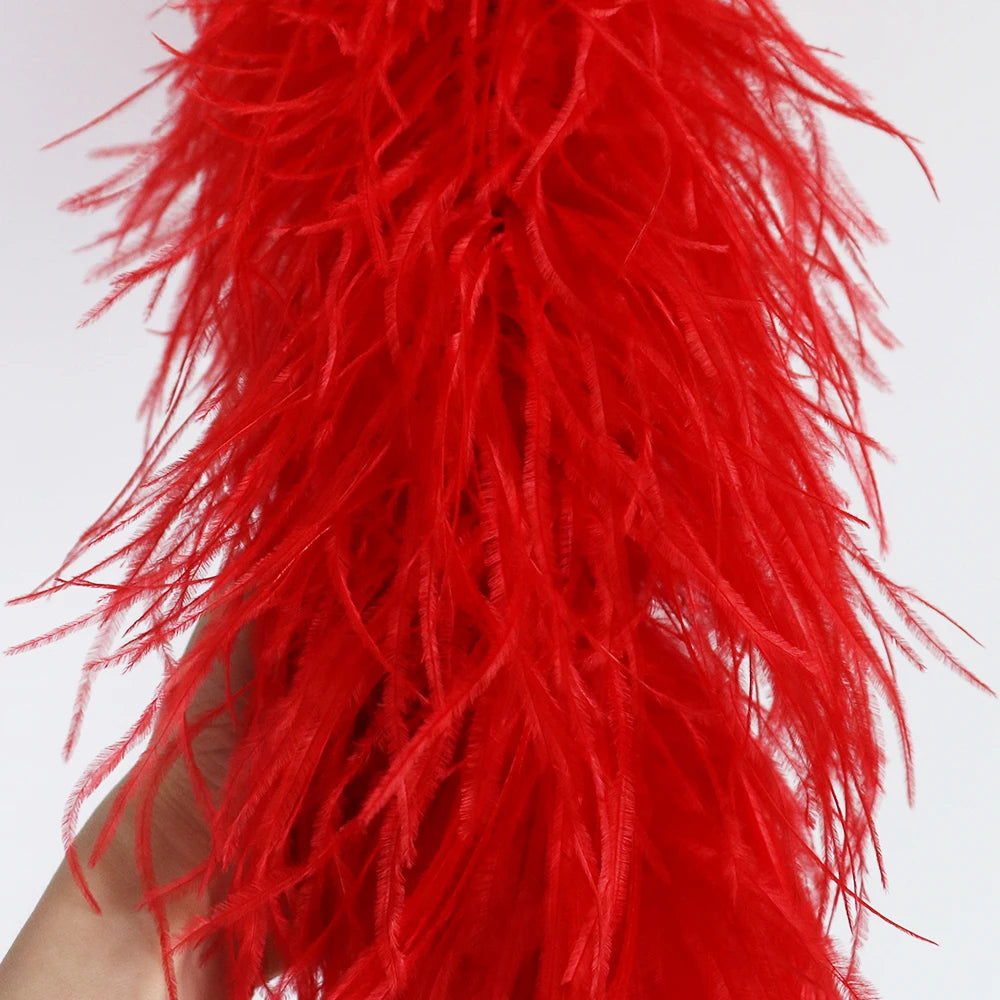 Ostrich Feather Trim Boa (1 Meter)