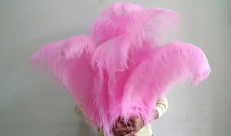 10PC 28-30IN Ostrich Feather Plumes