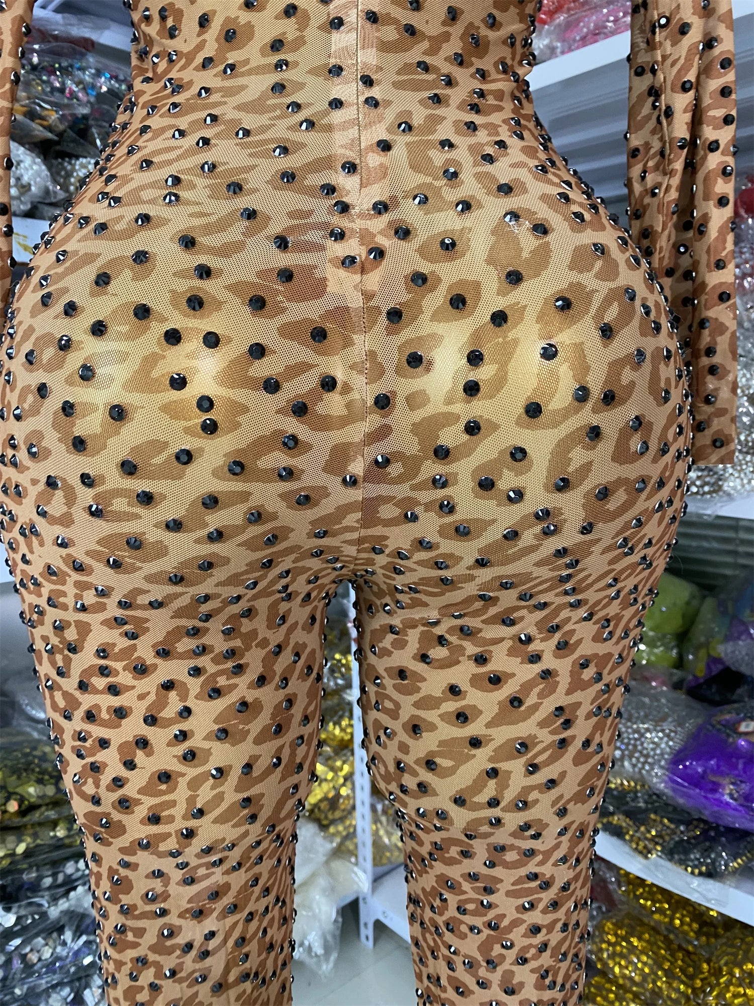 Leopard Print Rhinestone Catsuit Long Sleeve Stage Performance Jumpsuit
