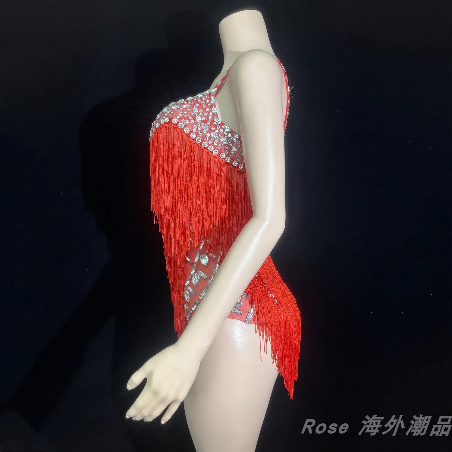 Custom Fringe Rhinestone Bodysuit & Stage Performance Dance Costume