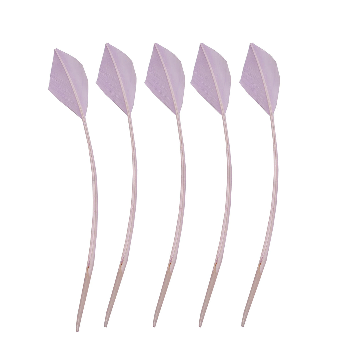 Arrowhead Turkey Feather Quill Trim — 28–33 cm