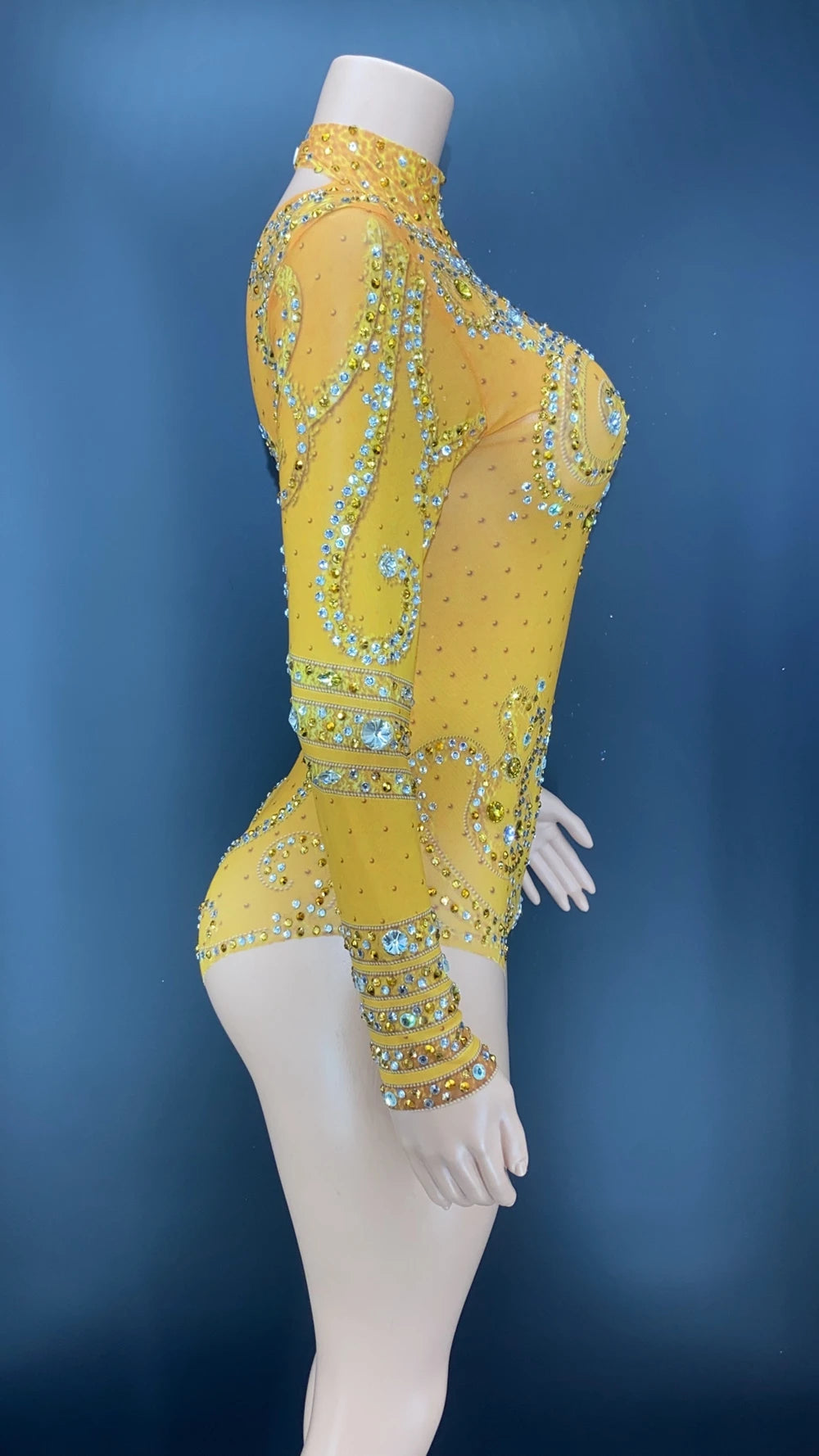 Sparkly Crystals Long-Sleeve Mesh Bodysuit Stage Performance Costume