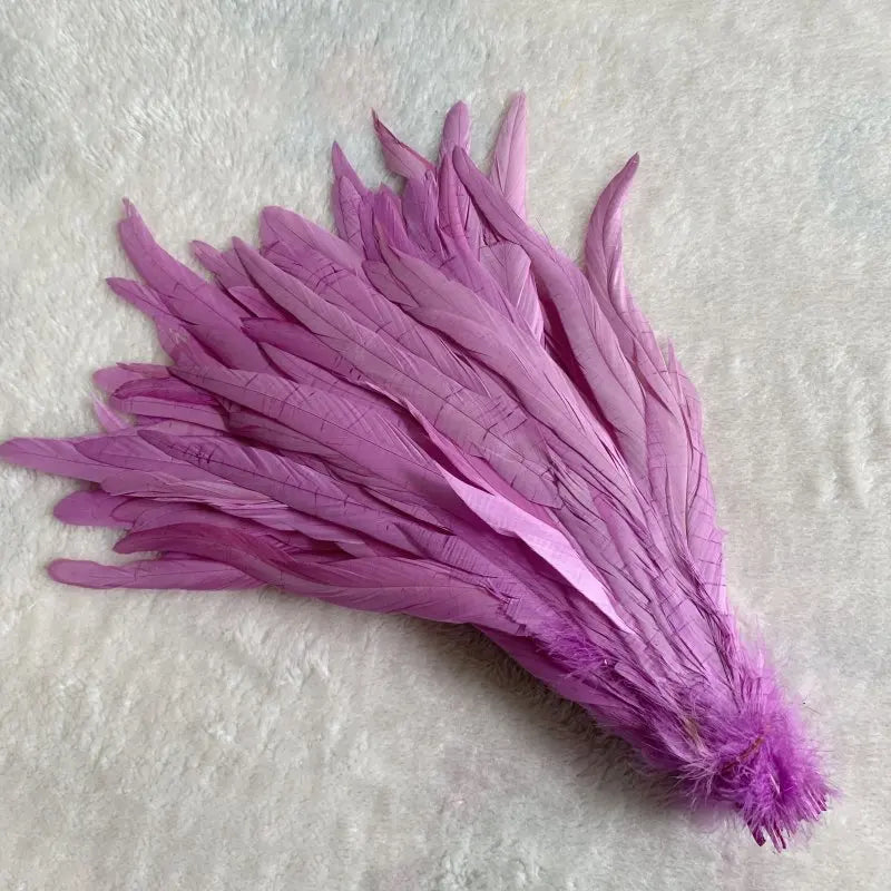 Premium Two-Tone Rooster Tail Feather Plumes (100PCS)