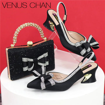 Italian Design Shoes and Bag Set