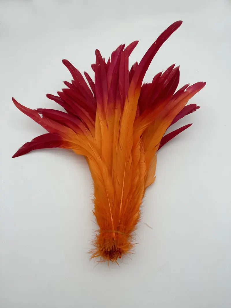 Premium Two-Tone Rooster Tail Feather Plumes (100PCS)