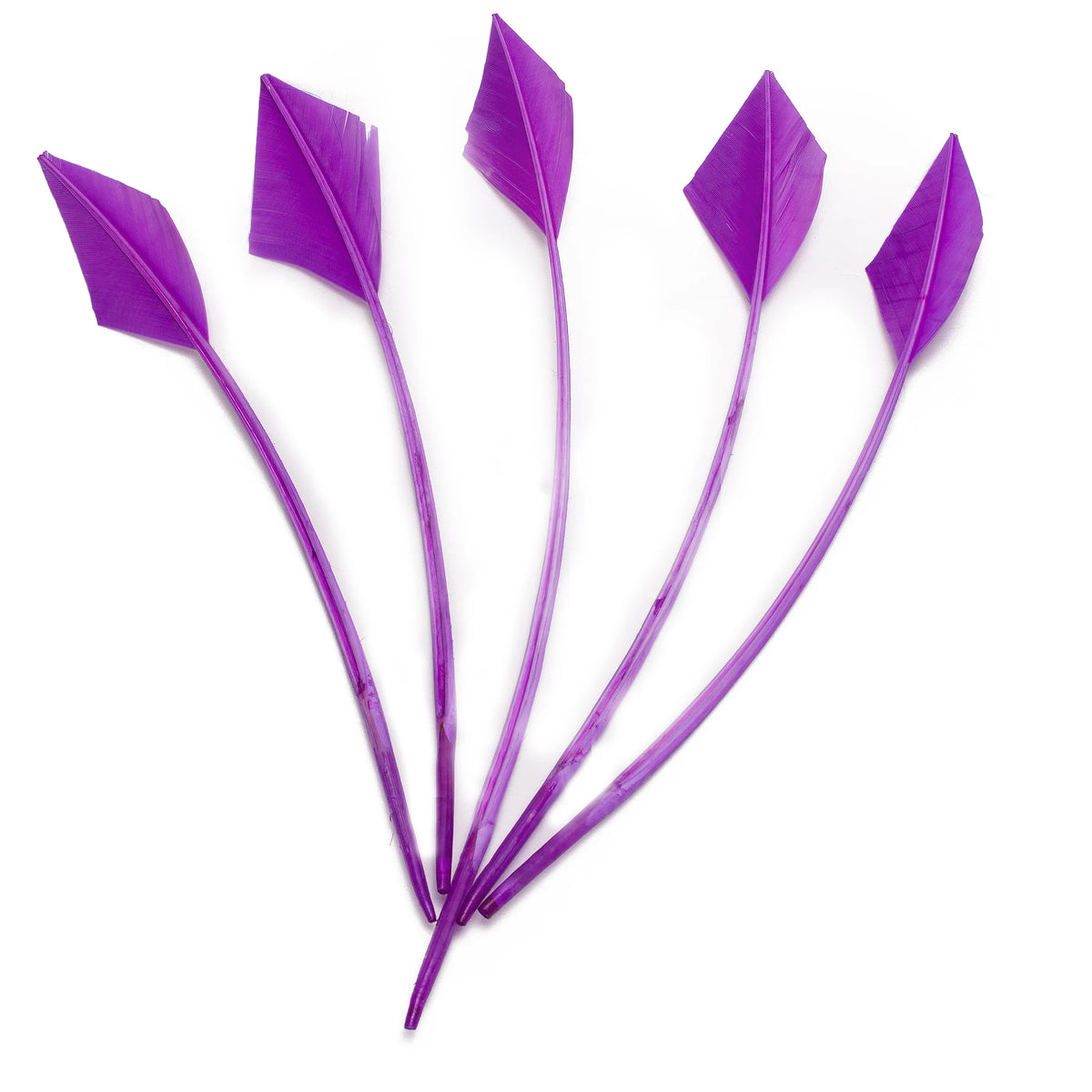 Arrowhead Turkey Feather Quill Trim — 28–33 cm