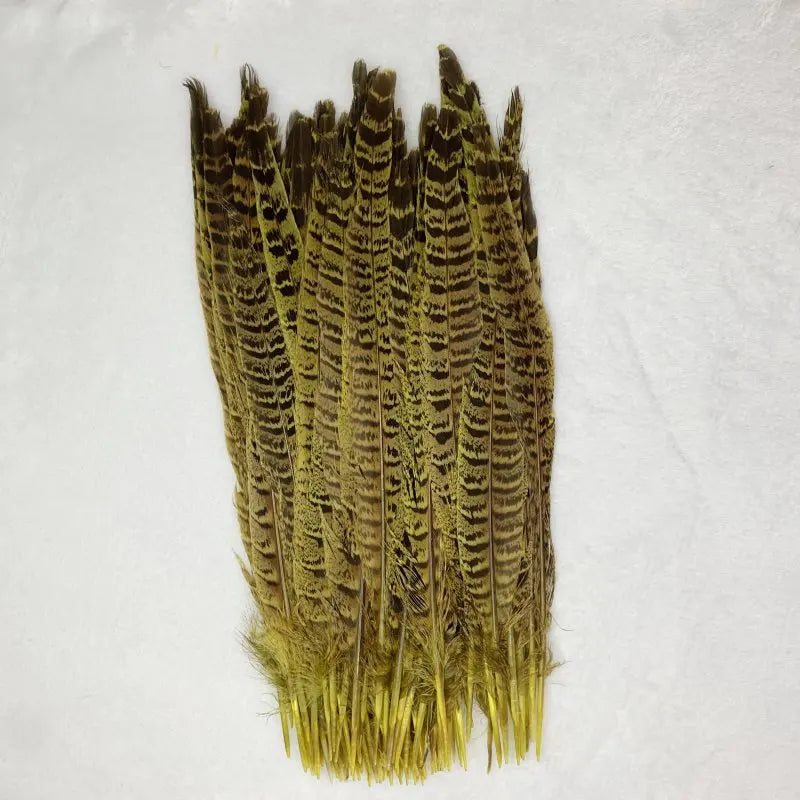 Natural Female Pheasant Tail Feathers (10pcs/lot)