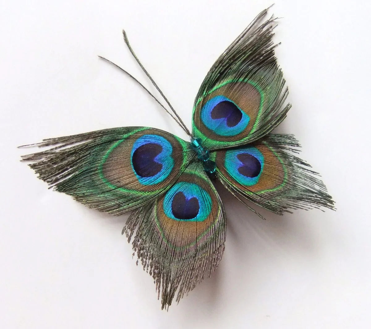 Wholesale Real Peacock Feathers (50-100/lot)