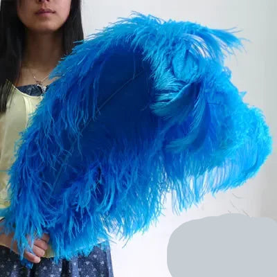 10PC 28-30IN Ostrich Feather Plumes