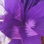 25cm Feather Cocktail Fascinator Headband Kentucky Derby Tea Party Pillbox Hat