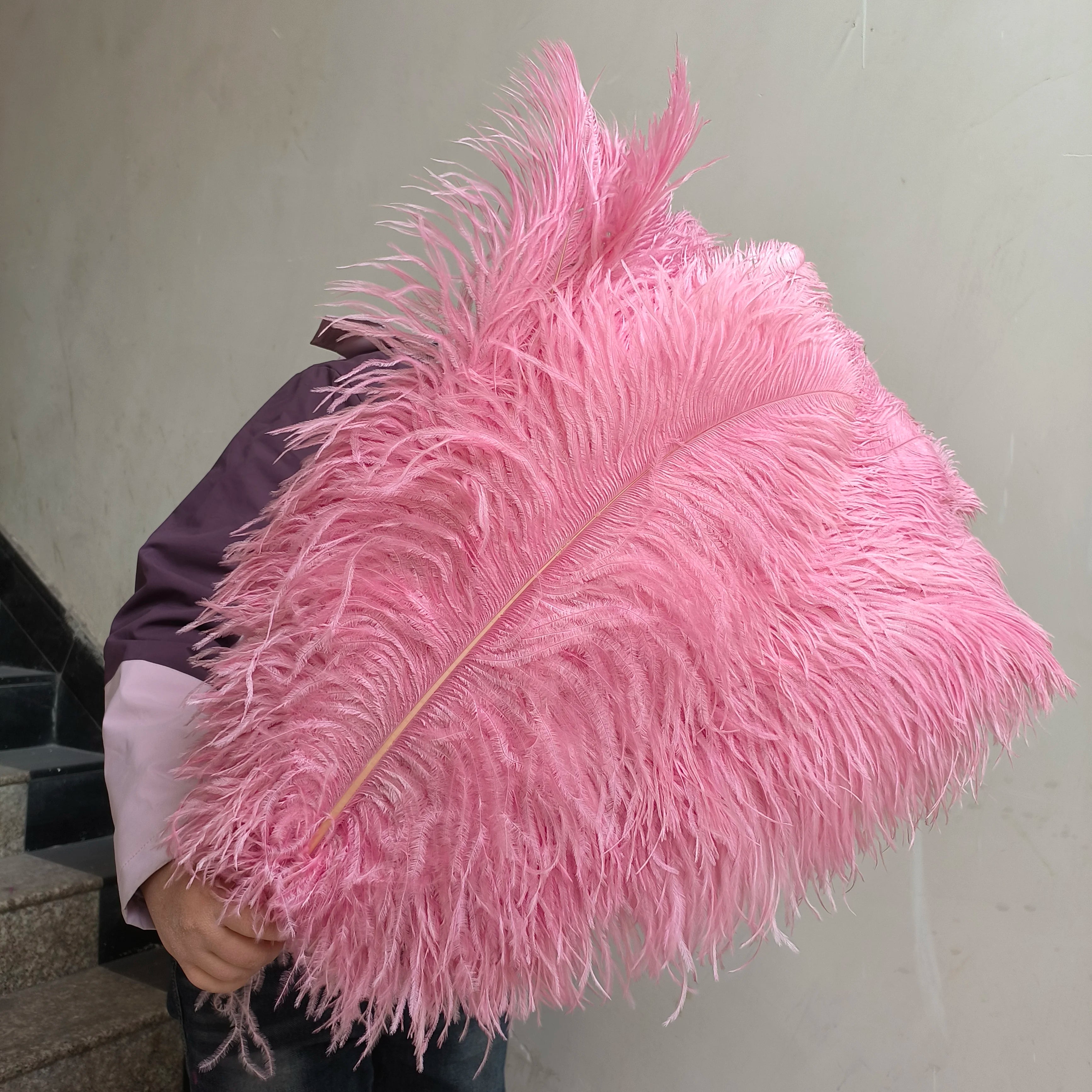28-30IN Large Decorative Ostrich Feather Plumes