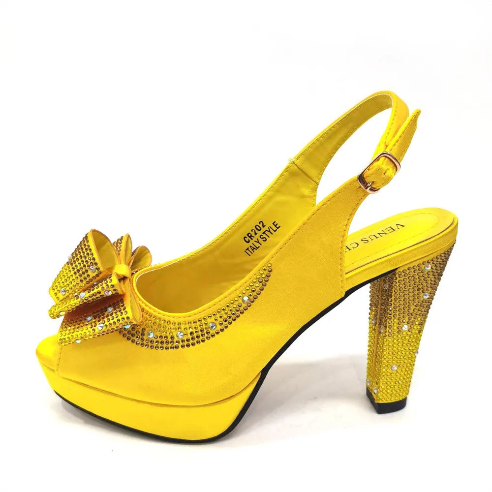 Shoes & Matching Bag Set