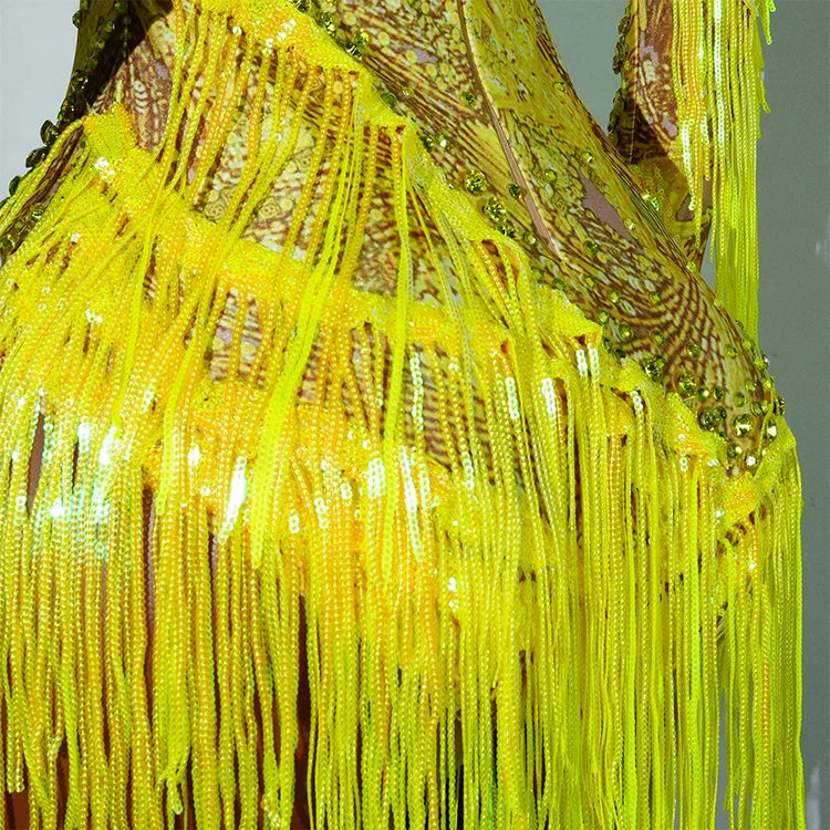 Leopard Sequin Fringe Asymmetrical Bodysuit One-Sleeve Stage Performance Costume