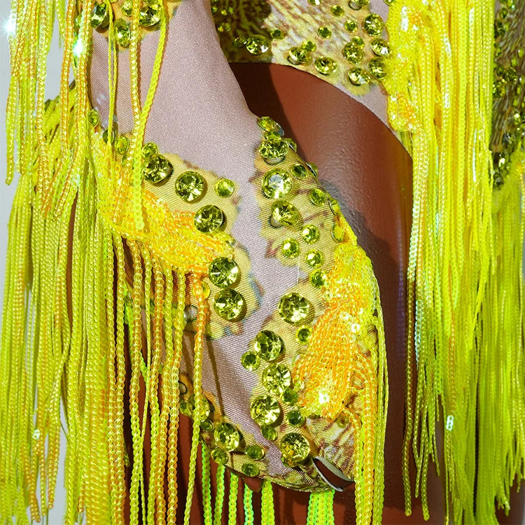 Leopard Sequin Fringe Asymmetrical Bodysuit One-Sleeve Stage Performance Costume
