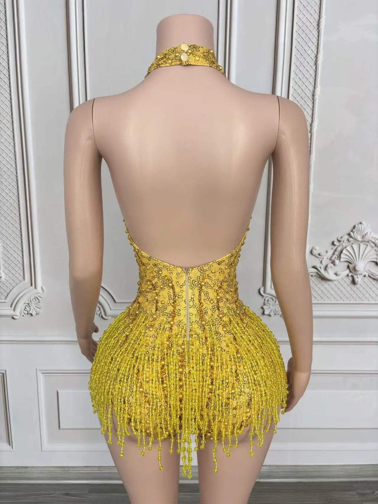 Crystal Rhinestone Fringe Sleeveless Bodysuit & Aerial Dance Leotard Costume