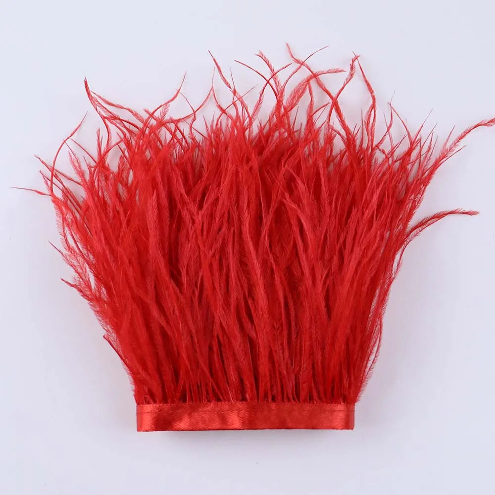 Natural Ostrich Feather Trim & Fringe