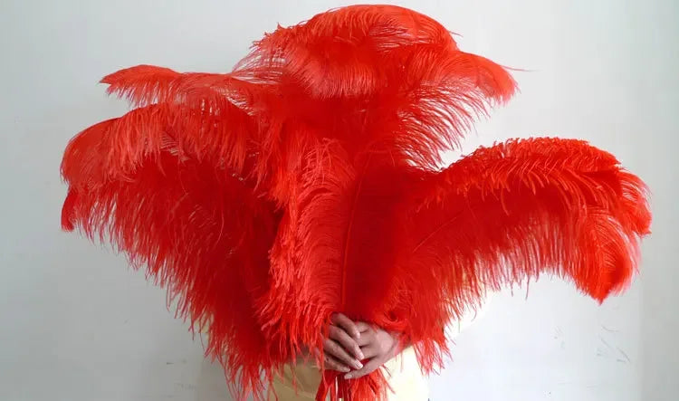 10PC 28-30IN Ostrich Feather Plumes