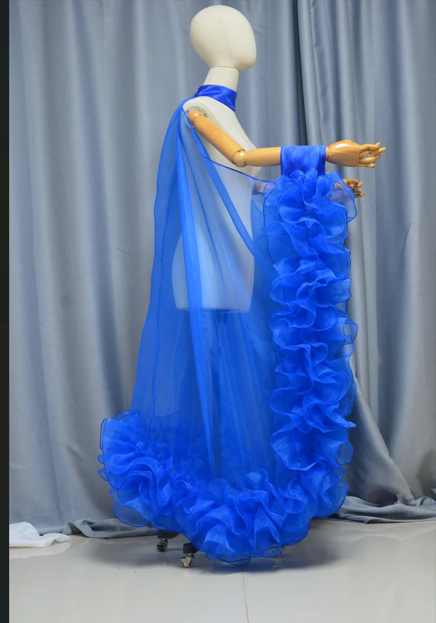 Dramatic Organza Burlesque Coat of Glory Wing Cloak Drag Cabaret Show Cape