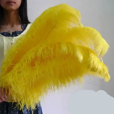 10PC 28-30IN Ostrich Feather Plumes