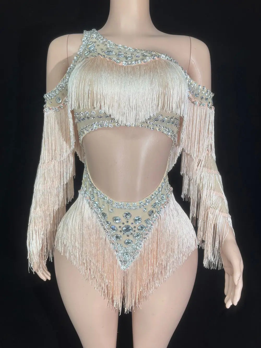 Sparkly Silver Crystal Rhinestone & Shoulder Fringe Bodysuit Stage Performance Costume
