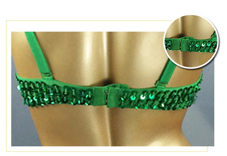 Dazzling Beaded & Sequined Belly Dance Bra & Belt 2-Piece Costume Set