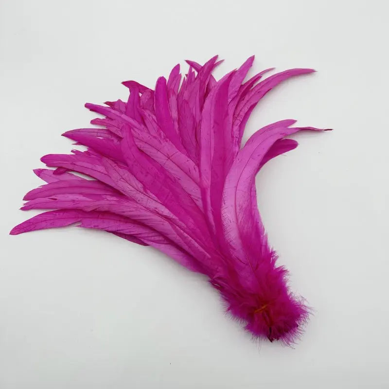 Premium Two-Tone Rooster Tail Feather Plumes (100PCS)