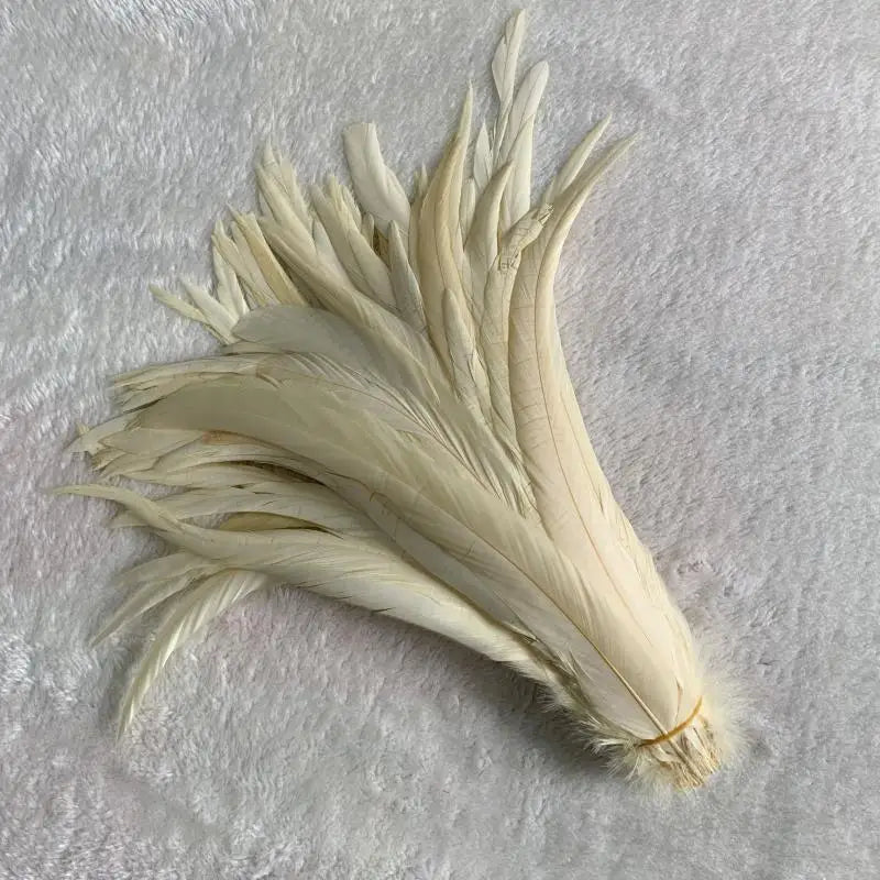 Premium Two-Tone Rooster Tail Feather Plumes (100PCS)
