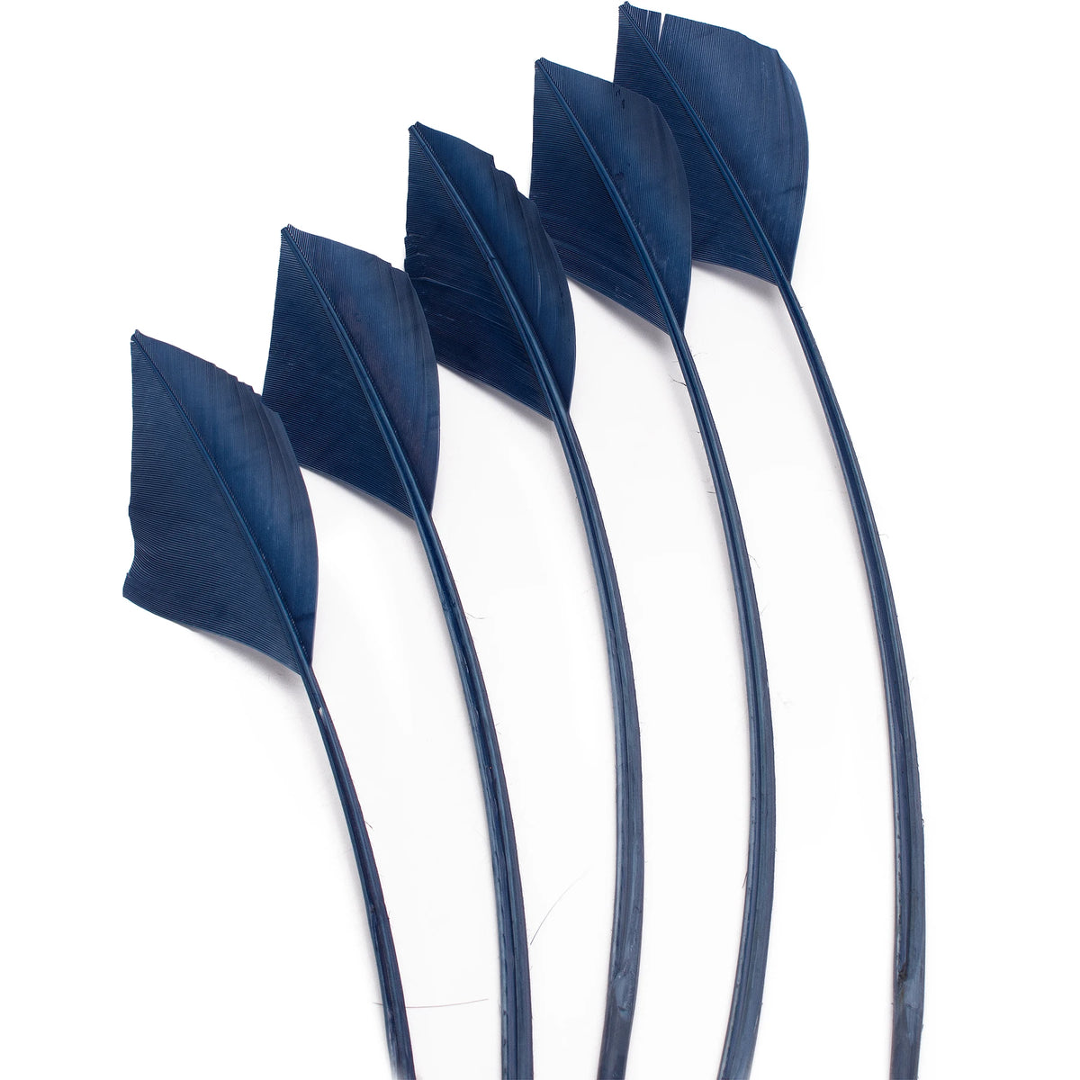 Arrowhead Turkey Feather Quill Trim — 28–33 cm