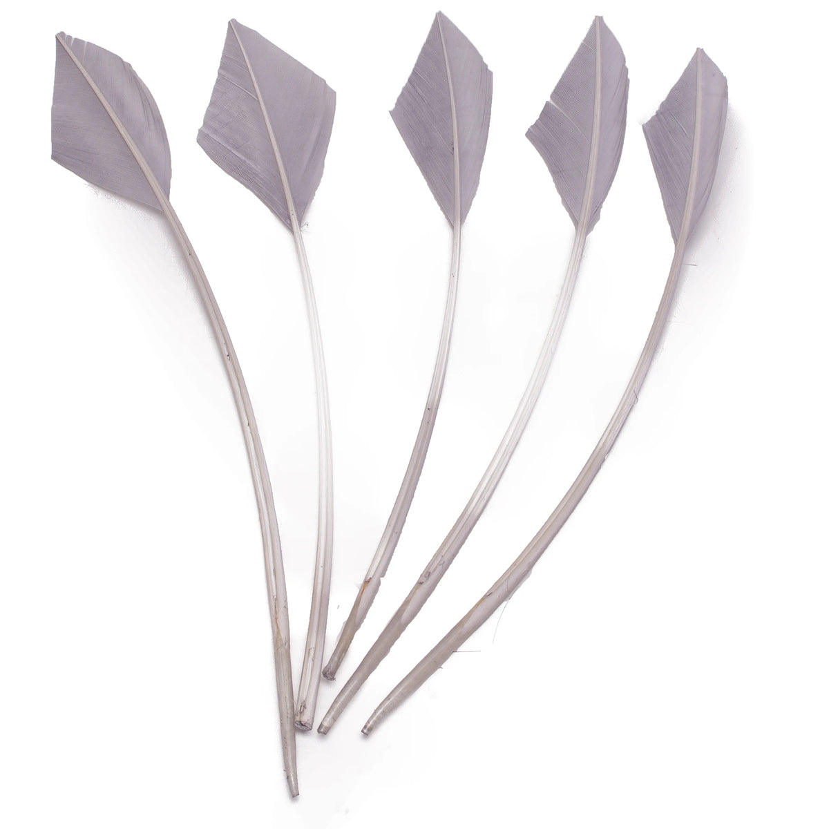 Arrowhead Turkey Feather Quill Trim — 28–33 cm