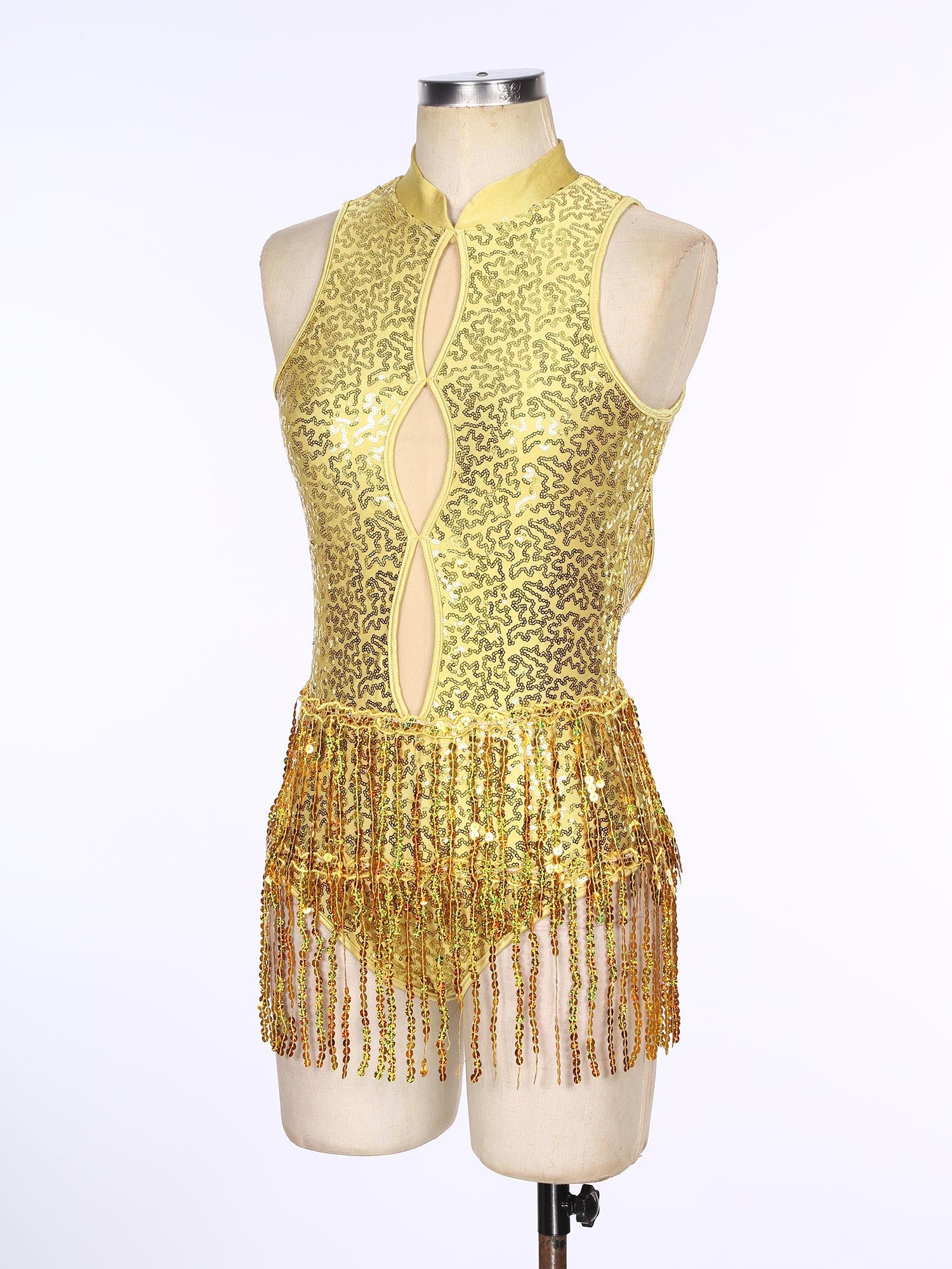 Glitter Sequin Fringe Latin Dance Leotard & Backless Performance Bodysuit