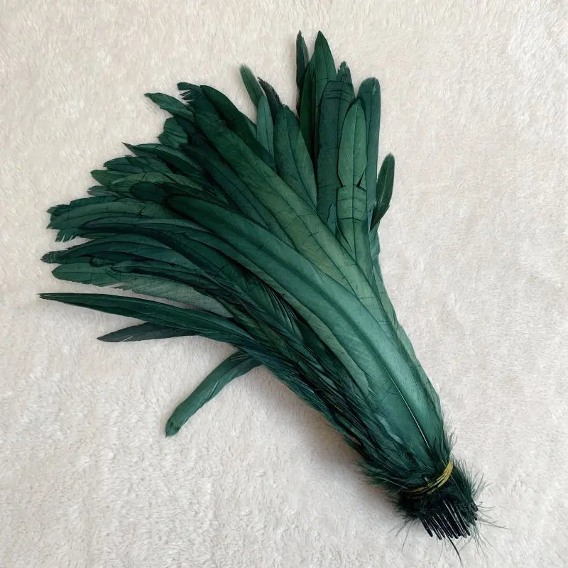 Premium Two-Tone Rooster Tail Feather Plumes (100PCS)