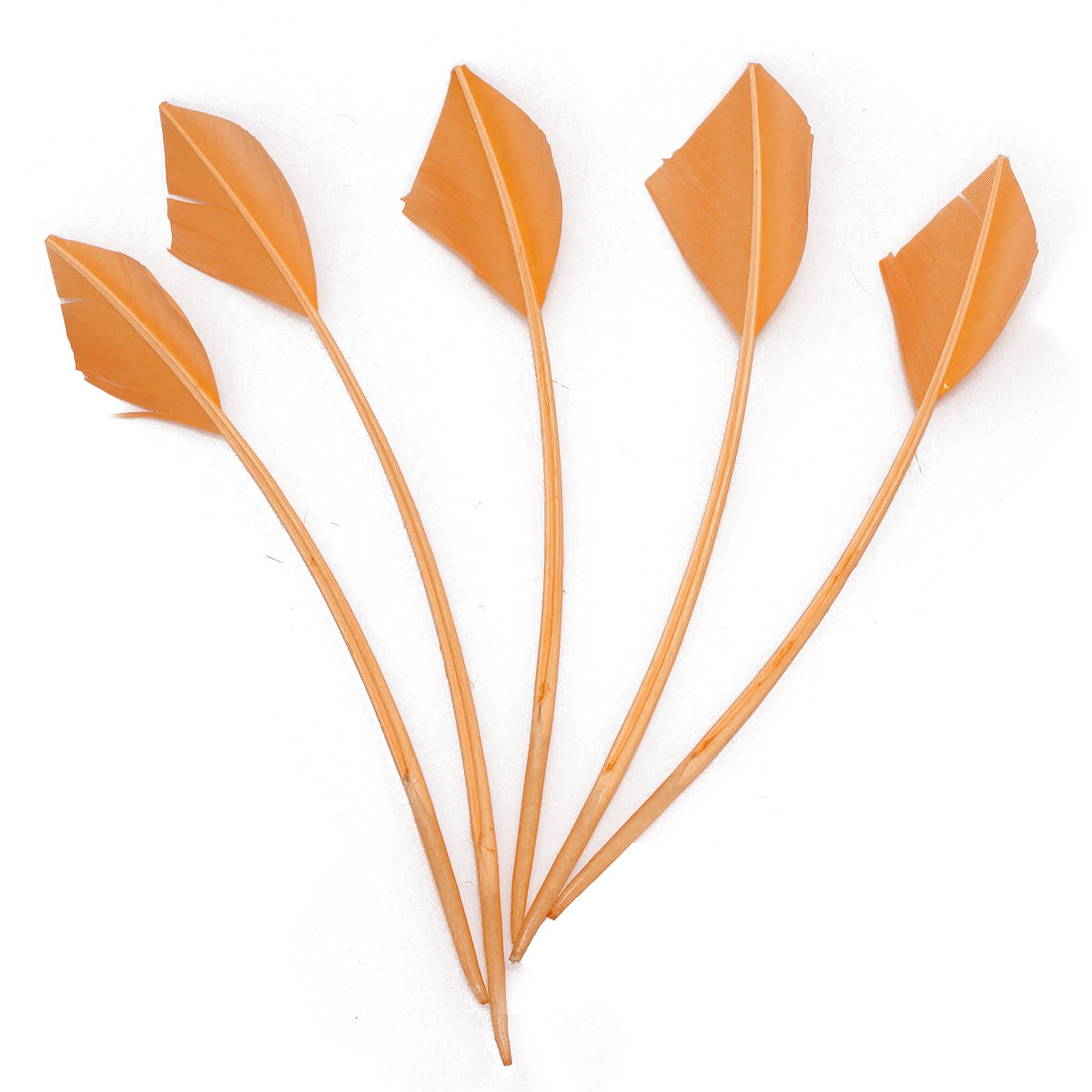Arrowhead Turkey Feather Quill Trim — 28–33 cm