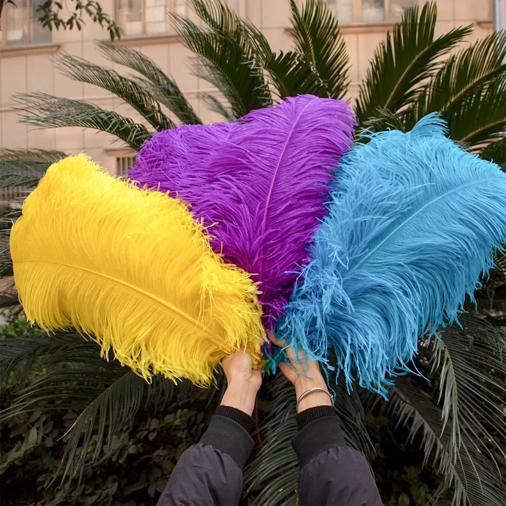 28-30IN Large Decorative Ostrich Feather Plumes