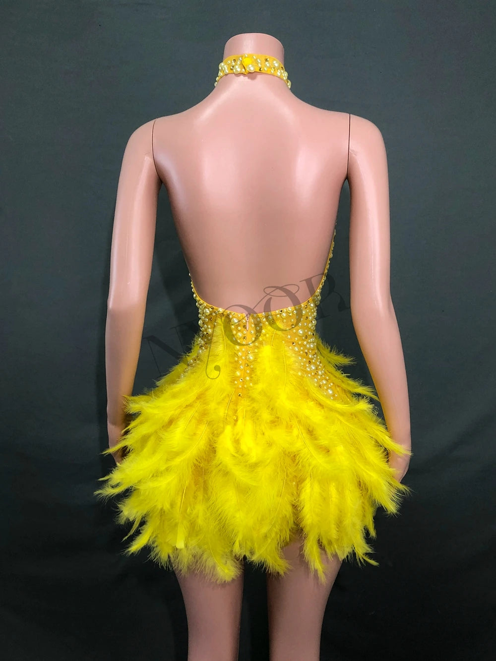 Women's Showgirl Stage Wear Costume | Performance Outfit