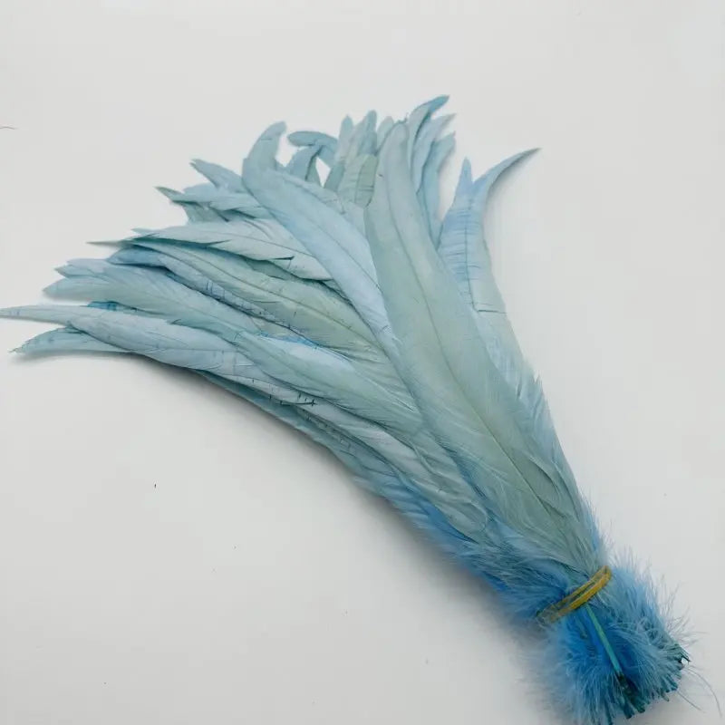 Premium Two-Tone Rooster Tail Feather Plumes (100PCS)