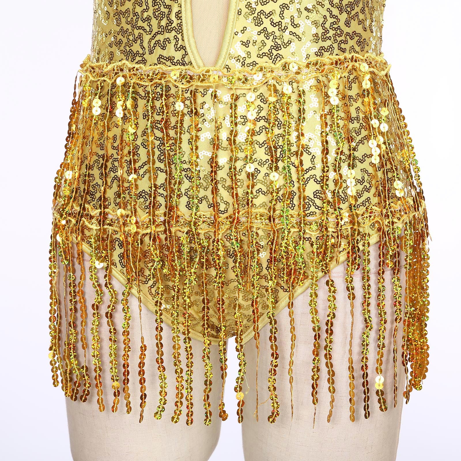 Glitter Sequin Fringe Latin Dance Leotard & Backless Performance Bodysuit