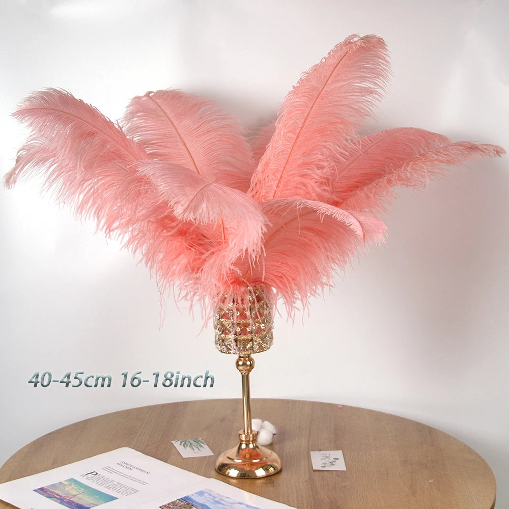 28-30IN Large Decorative Ostrich Feather Plumes