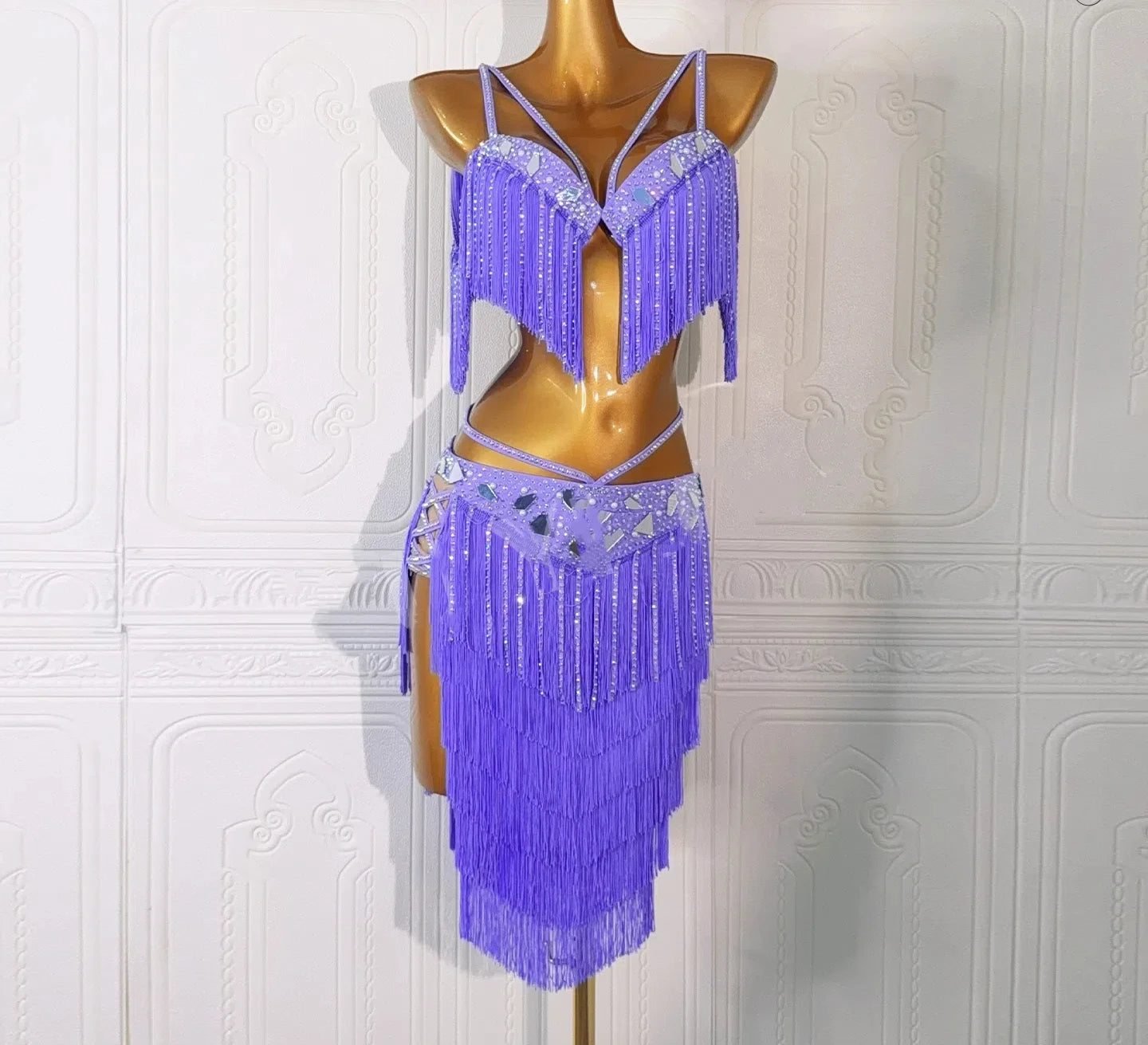 Luxury Tassel Top & Skirt Belly Dance Performance Set