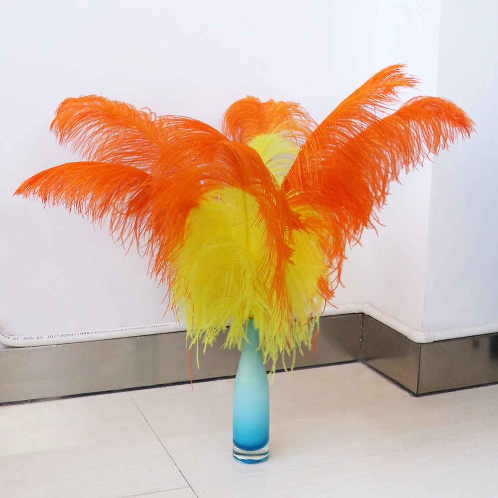 10PC Two-Tone Decorative Feather Plumes
