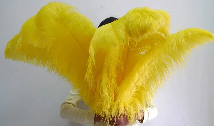 10PC 28-30IN Ostrich Feather Plumes