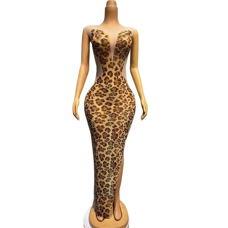 Women's Gold Rhinestone Leopard Print Sheer Dress | Sleeveless Stage & Singer Photoshoot Outfit
